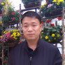 Y Quán Kim Sương